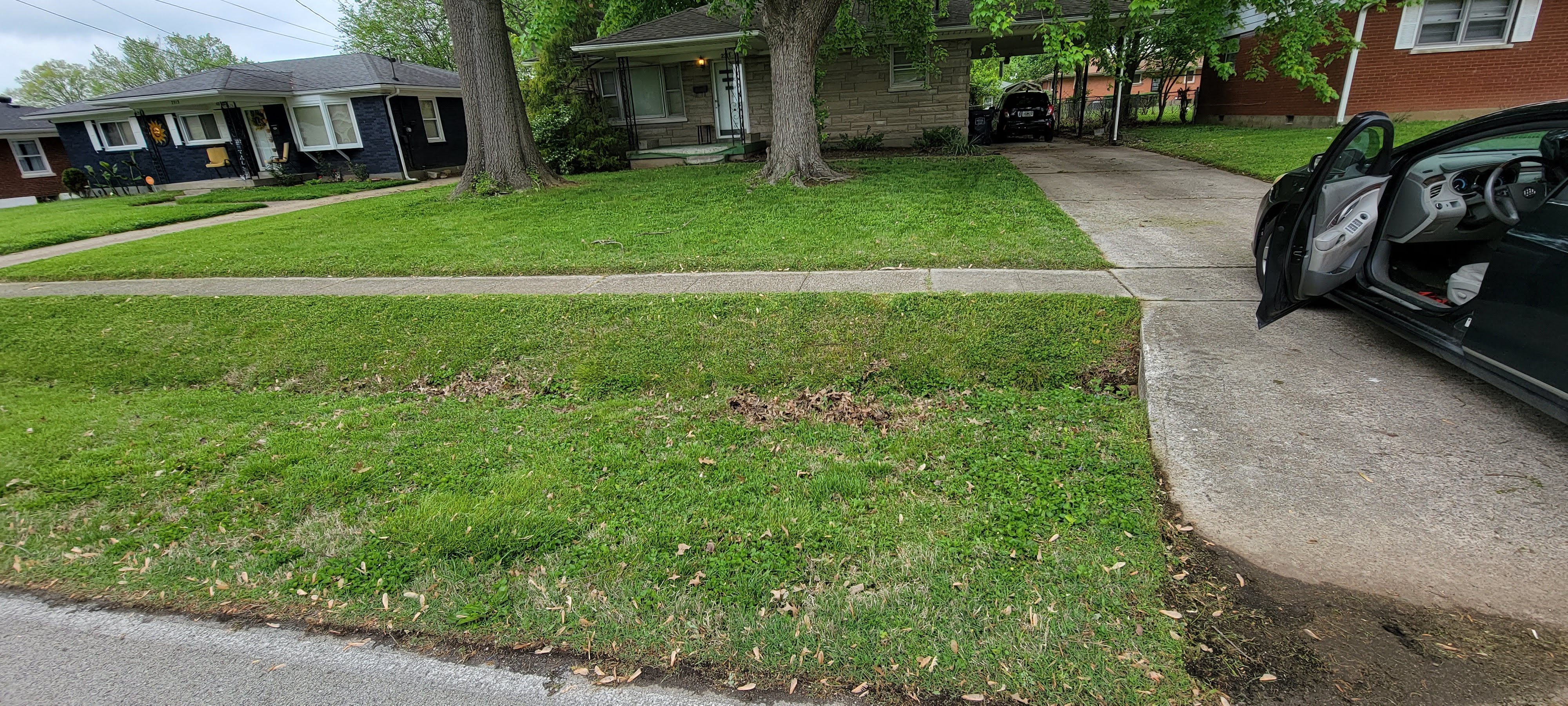 Lawn work photo 3